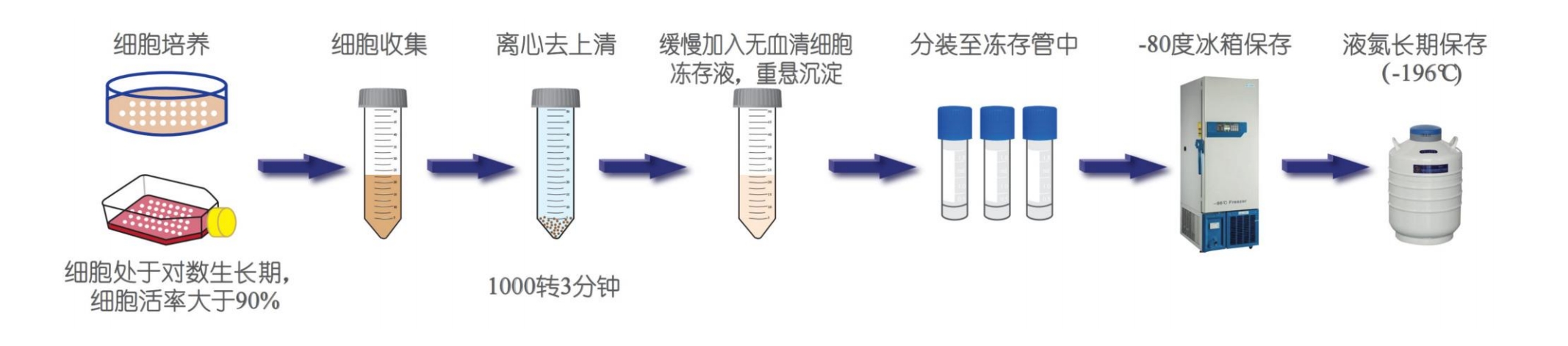 微信截图_20250224123126.png